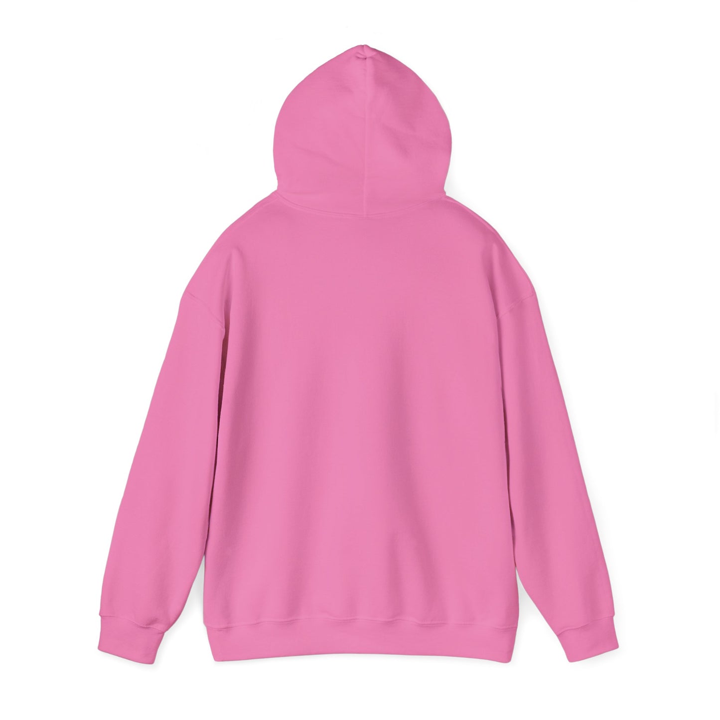 Feminist Hoodie
