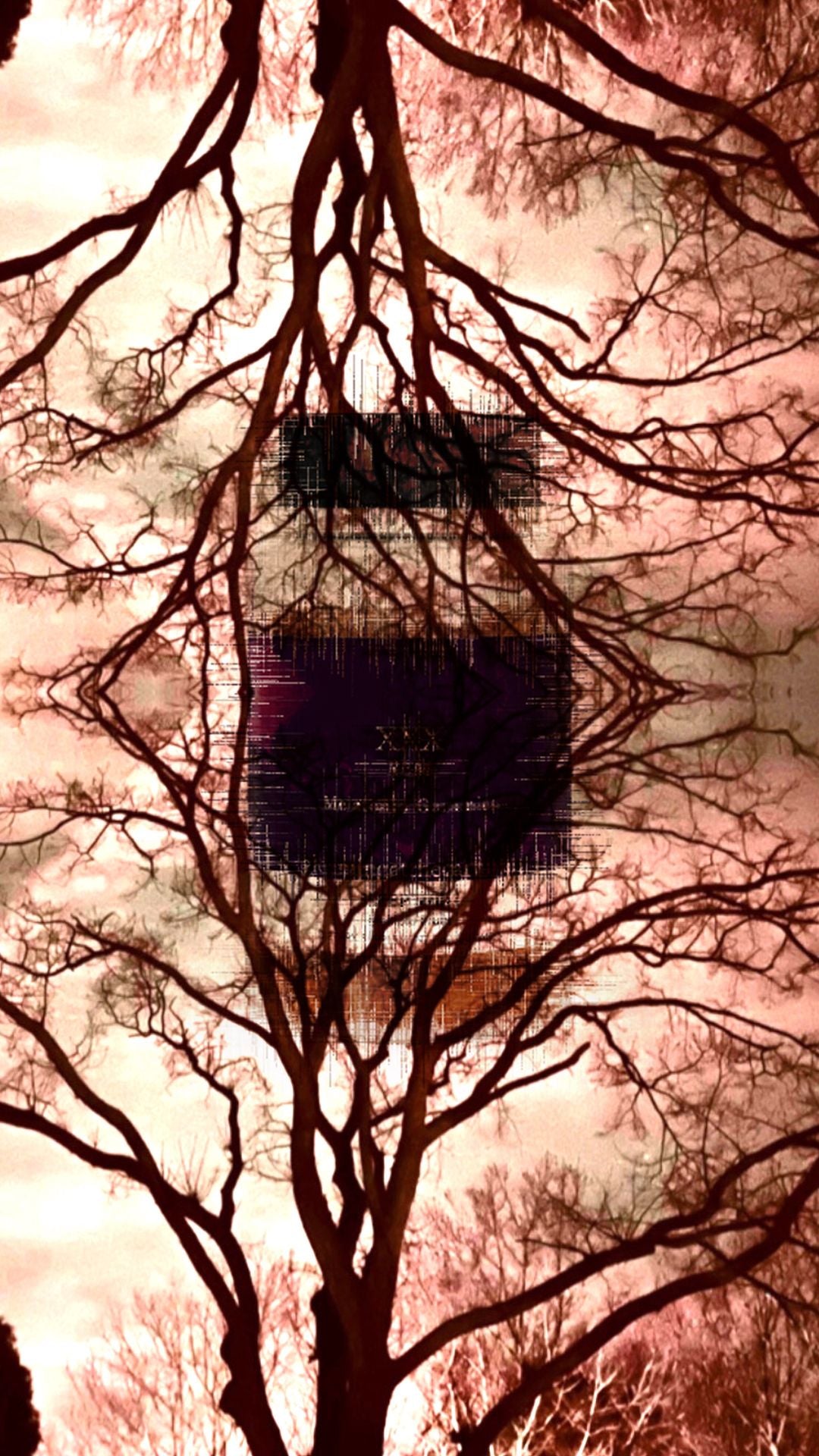 “REM” Melatonin Gummies (60 Gummies)