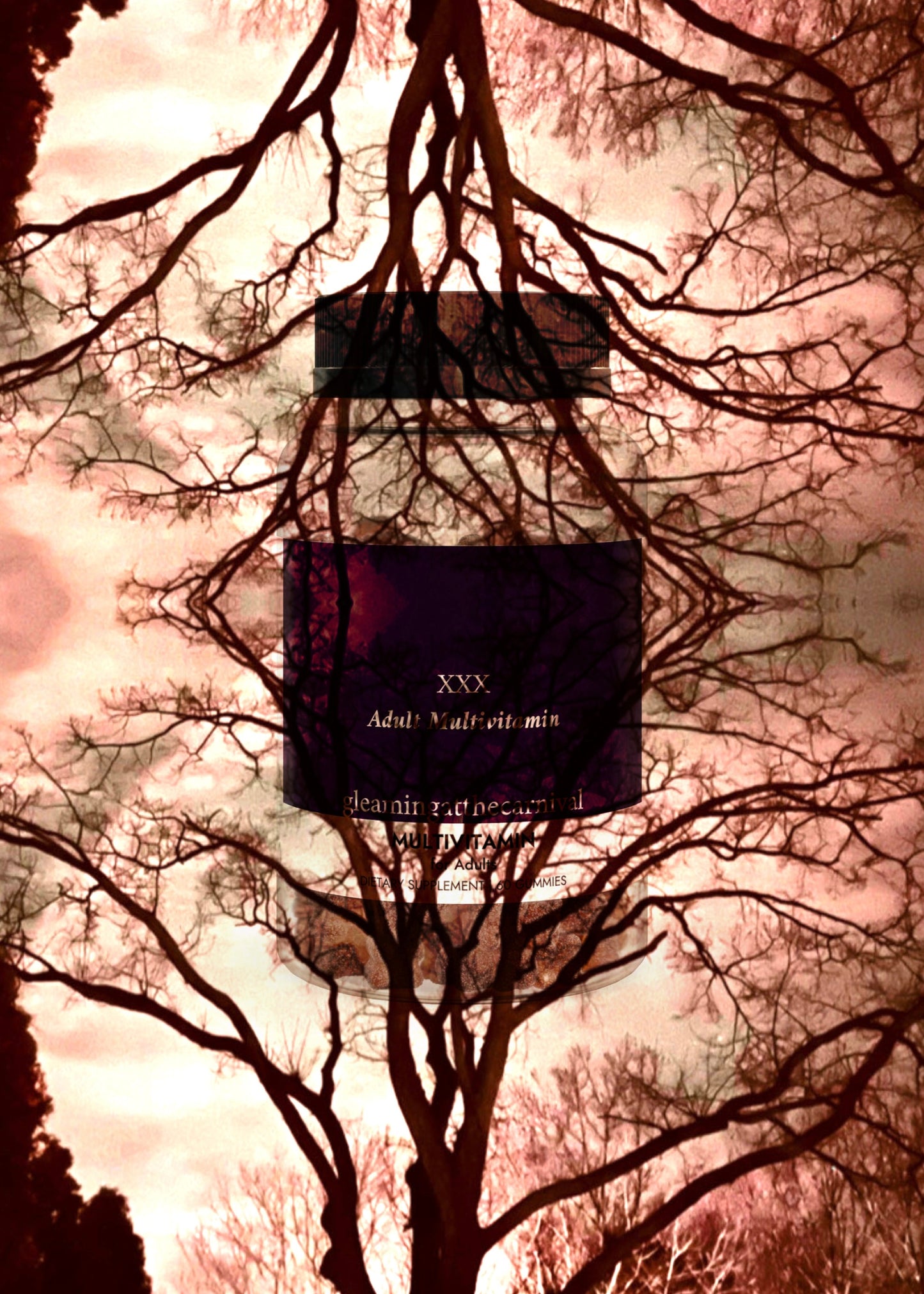 Multivitamin Gummies for Adults (60 Gummies)